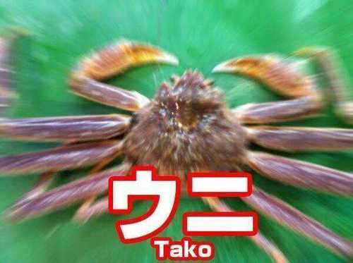 ≧( ＾ω＾)≦ ｶﾆ!!≧( ＾ω＾)≦ ｶﾆ!!みんなカニは好きかｧ！！