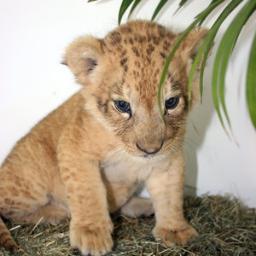 vonjamesrev's profile picture. This is my bio