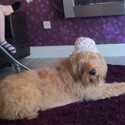 anders198130's profile picture. west Bergholt 1st team manager