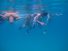 azuan_satar's profile picture. Avid dreamer