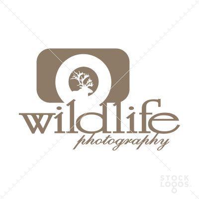 Wildlife photography is an exciting glimpse of photography which helps us to see the fantastic world of wild life in their natural habitat.