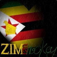 Zimhockey (@zimhockey) Twitter profile photo