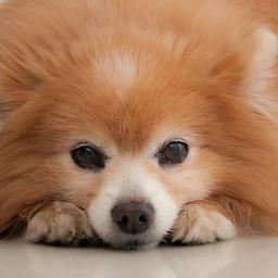 edilmacarmona's profile picture. 