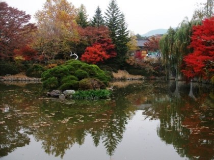 ygngya's profile picture. 