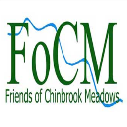 I am part of Friends of Chinbrook Meadows so my tweets are, mainly, about Chinbrook Meadows, Quaggy, nature  and local community.