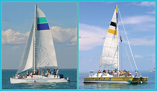 Reef Roamer and Quicksilver catamarans will take you to the reefs of John Pennekamp State Park and Islamorada! snorkel trips, sunset sails, private charters