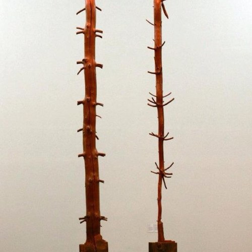 zaidlin's profile picture. 