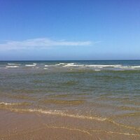 Willem de vries (@willemdevries7) 's Twitter Profile
