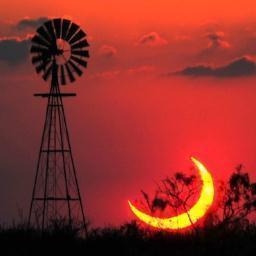 ParolaDelVento's profile picture. Linguista programmatore