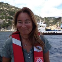 Sabina Castelfranco (@scastelfranco) 's Twitter Profile