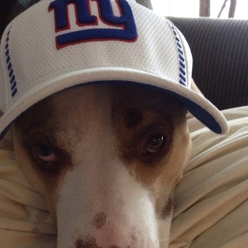 Scottywoowoo's profile picture. 