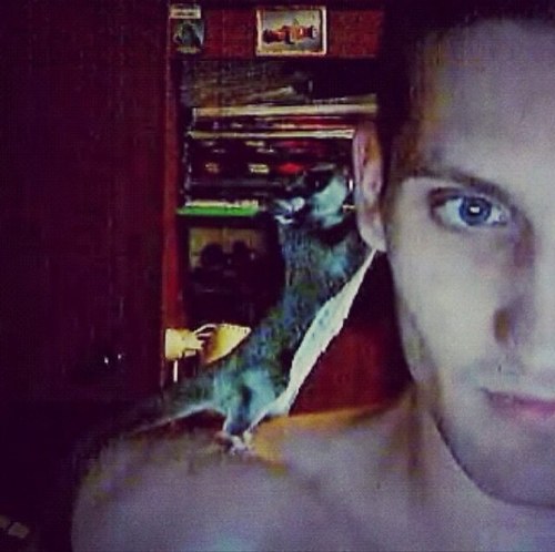 zZoMROT's profile picture. 