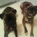 Sarah Low - @Buggmania - Twitter