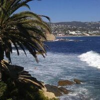 Debra A (@amblessed) 's Twitter Profile