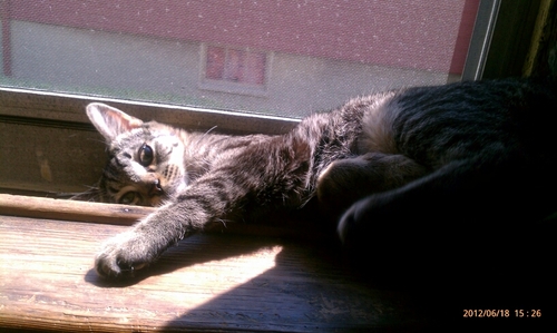 fjgenatossio's profile picture. Despise arrogant bully sleazy slimebag cheating lying thieving anti-Americans! #ExpelTheSeditionists EXPEL Cruz, Hawley, Brooks, Greene, Boebert, McCarthy, ...