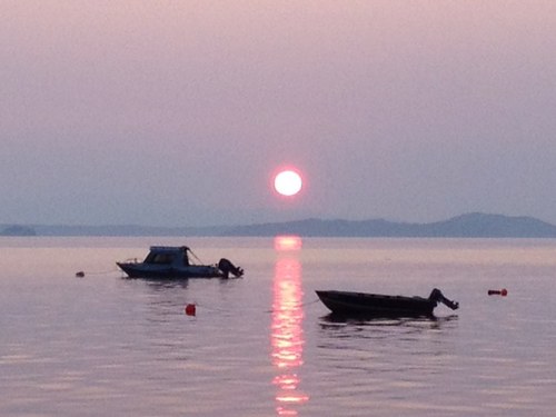 RemaxRCooper's profile picture. Dedicated to the pursuit of happiness on The Sunshine Coast