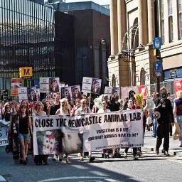 Northern_AR's profile picture. Northern Animal Rights is a Kollitive of campaigning against animal cruelty in the north east
Protests / stalls and publicity events is what were best at