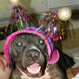 kerrimac63's profile picture. 