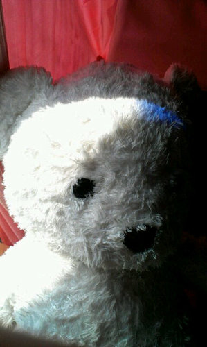pooh@cpll.cn
