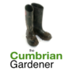 Celebrating gardening in Cumbria & Morecambe Bay area.