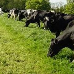 the_tillers's profile picture. The Tillers discussion group is a group of enthusiastic dairy farm workers, herdsmen and managers on grass based systems, climbing the farming ladder.