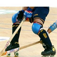 juego hochey sobre patin..soy de chile