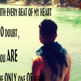 HozanHozy's profile picture. 