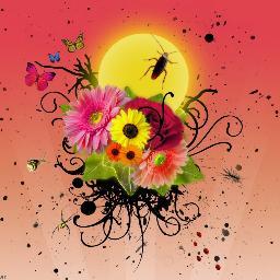 cumins9876's profile picture. 