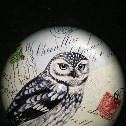 isuckatthisgame's profile picture. 