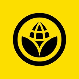 Co - Founder/Graphic Designer at CornStudio