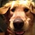 Rob Stevens (@rob91480) Twitter profile photo Rob Stevens (@rob91480) Twitter profile photo