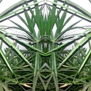 Giuseppe Anzalone - @GiuseppeAnzalo2 - Twitter