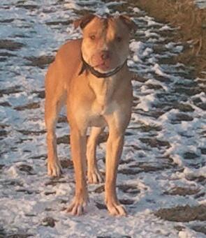 vickyfarmer5's profile picture. i am a nursery assistant, enjoy the gym and spending time with my 2 beautiful nieces.