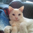 Tonya Potter - @tonyapotter83 - Twitter