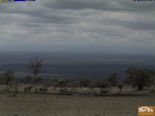 jaybonn's profile picture. Entrepreneur,solving unemployment,global warming,terrorism....