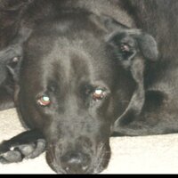 toniasci (@antoniasci921) 's Twitter Profile