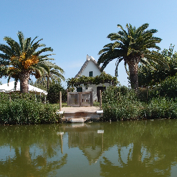 CMGranel's profile picture. Graduada en pedagogía de la Danza y licenciada en Historia.