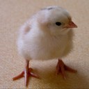 David Baik - @sequence0113 - Twitter