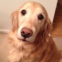 Greg Wirth - @WirthGwirth - Twitter