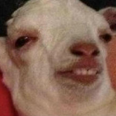Really High Goat (@ReallyHighGoat) / X