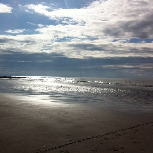 oldshell1982's profile picture. 