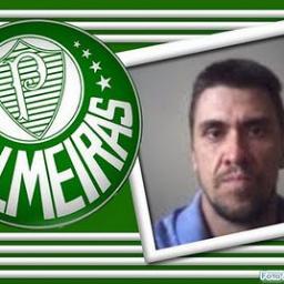 palmeiras sempre