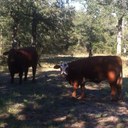 Chad Horner - @feedman74 - Twitter