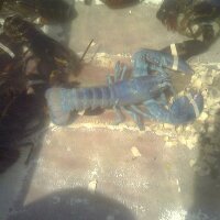 stephanie cabot (@stephaniecabot) 's Twitter Profile