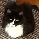 Julie Wilde - @wildething15 - Twitter