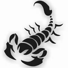 SobreEscorpiao Profile Picture