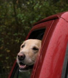 Rgbpubs's profile picture. 