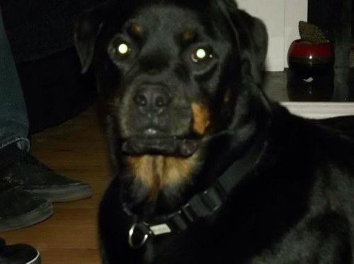 rgrsbev's profile picture. 