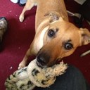 Millie - @Millie_Lewis - Twitter