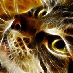 daromasweden's profile picture. A well Known Swedish Company with wide range of barber products. See our online store at http://t.co/uqK86kLpWA